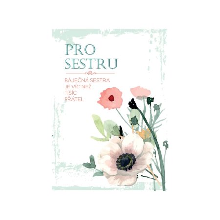Přání pro báječnou sestřičku