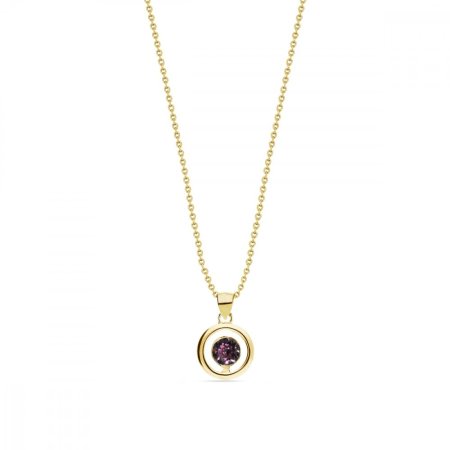 Náhrdelník fialový se Swarovski Elements Punct Gold NCG1088SS18AM Amethyst