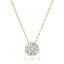 Pozlátený náhrdelník s čírym zirkónom 12051.1 Au plating