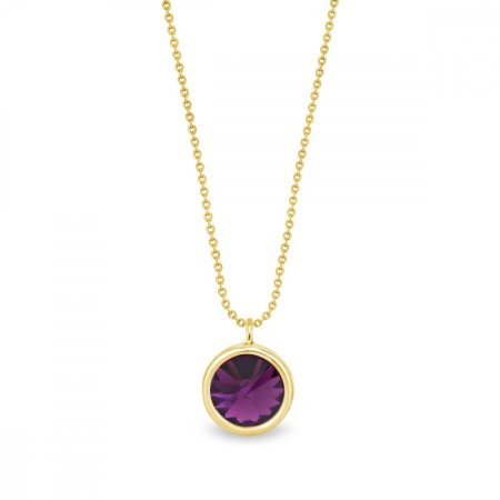 Náhrdelník fialový strieborný pozlátený so Swarovski Elements Birthday Stone NBG1122SS29AM Amethyst - Február