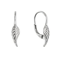 Stříbrné náušnice andělská křídla 61085