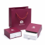 Pozlacené stříbrné náušnice elegantní uzle se zirkony 11660.1