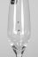 Sklenice se Swarovski Elements krystaly na šampaňské Vanessa Diamante Bliss 210ml
