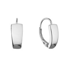 Strieborné náušnice kruhy 61072