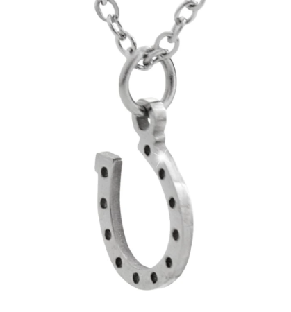 Náhrdelník z chirurgické oceli podkova