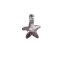Prívesok so Swarovski Elements fialová hviezda 34008.3 Light amethyst