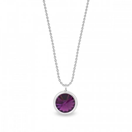 Stříbrný náhrdelník fialový se Swarovski Elements Birthday Stone NB1122SS29AM Amethyst