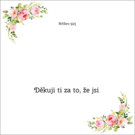 Děkuji ti za to, že jsi - OB43