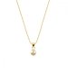 Náhrdelník zlatý so Swarovski Elements Glee NG1122SS29GS Golden Shadow