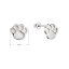 Stříbrné náušnice tlapky s perletí 11519.1 perleť