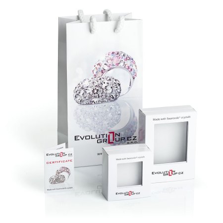 Stříbrné náušnice kruhy s krystaly Swarovski bílý kruh 31132.1