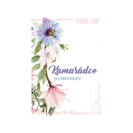 Prianie kamarátke do nepohody