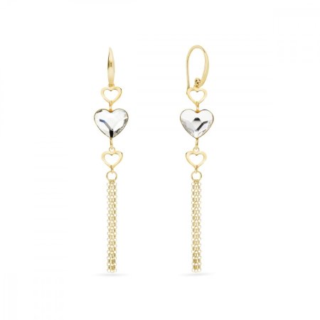 Náušnice číre so Swarovski Elements Soul KWSG280810C Krystal