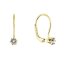 Pozlátené visiace náušnice so Swarovski kryštálom 31322.1
