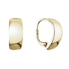 Pozlacené stříbrné náušnice kruhy 61070