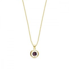 Náhrdelník fialový so Swarovski Elements Punct Gold NCG1088SS18AM Amethyst