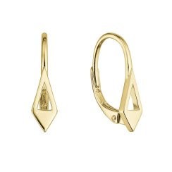 Pozlacené stříbrné náušnice geometrickém tvaru 61024