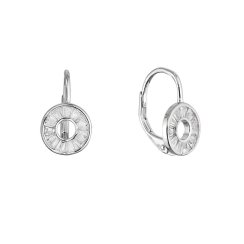 Stříbrné náušnice kroužek ananas 11719.1