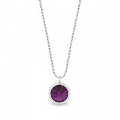Stříbrný náhrdelník fialový se Swarovski Elements Birthday Stone NB1122SS29AM Amethyst