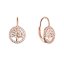 Pozlacené stříbrné náušnice strom života se zirkony 11713.1 rose gold