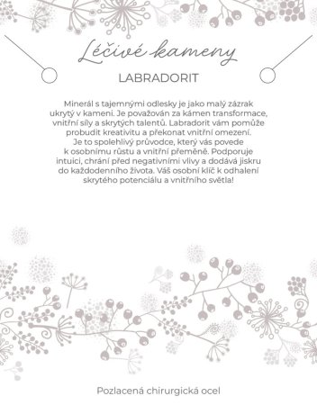 Náhrdelník s kamenem labradorit 42037.3 ocel