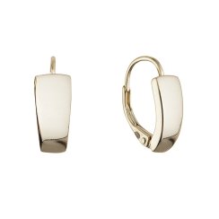 Pozlacené stříbrné náušnice kruhy 61072