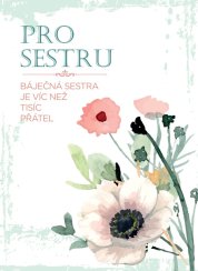 Přání pro báječnou sestřičku