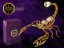 Kovová pozlátená figúrka Škorpión s bielymi kryštálmi Swarovski Elements