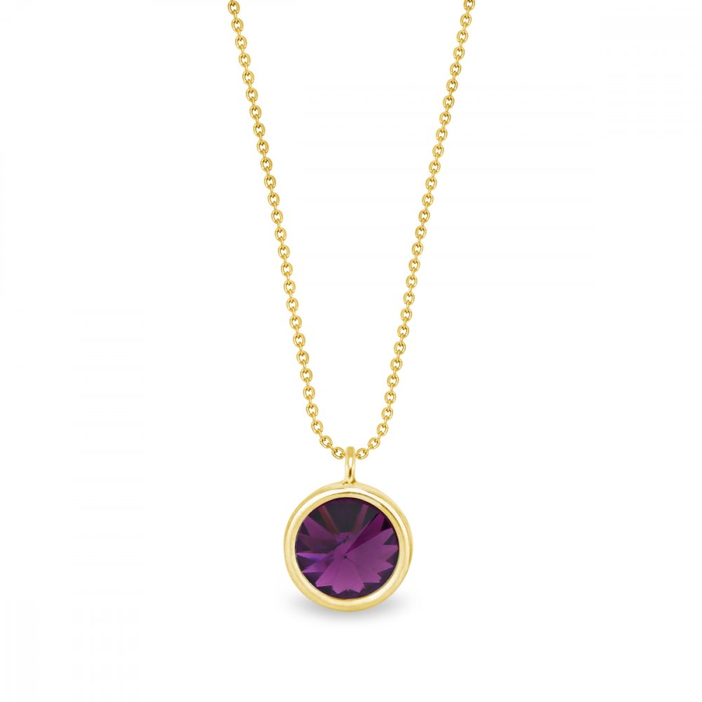 Levně Náhrdelník fialový stříbrný pozlacený se Swarovski Elements Birthday Stone NBG1122SS29AM Amethyst - Únor