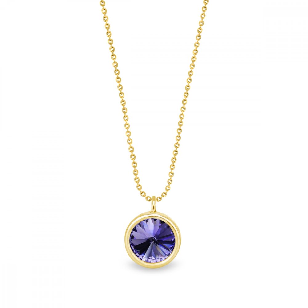 Levně Náhrdelník fialový stříbrný pozlacený se Swarovski Elements Birthday Stone NBG1122SS29TA Tanzanite - Červenec